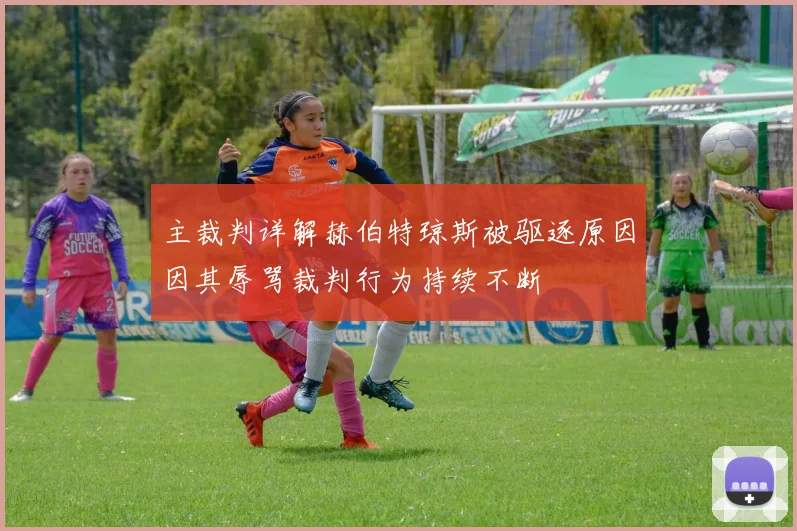 主裁判详解赫伯特琼斯被驱逐原因因其辱骂裁判行为持续不断