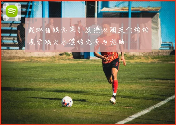 戴琳借钱无果引发热议朋友们纷纷表示钱打水漂的无奈与无助