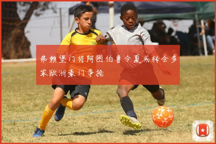 弗赖堡门将阿图伯鲁今夏或转会多家欧洲豪门争抢