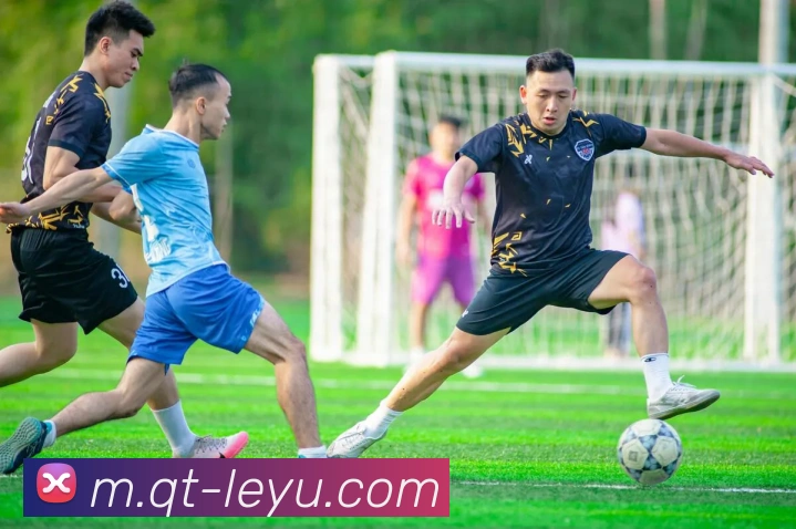 乐鱼体育平台生态图